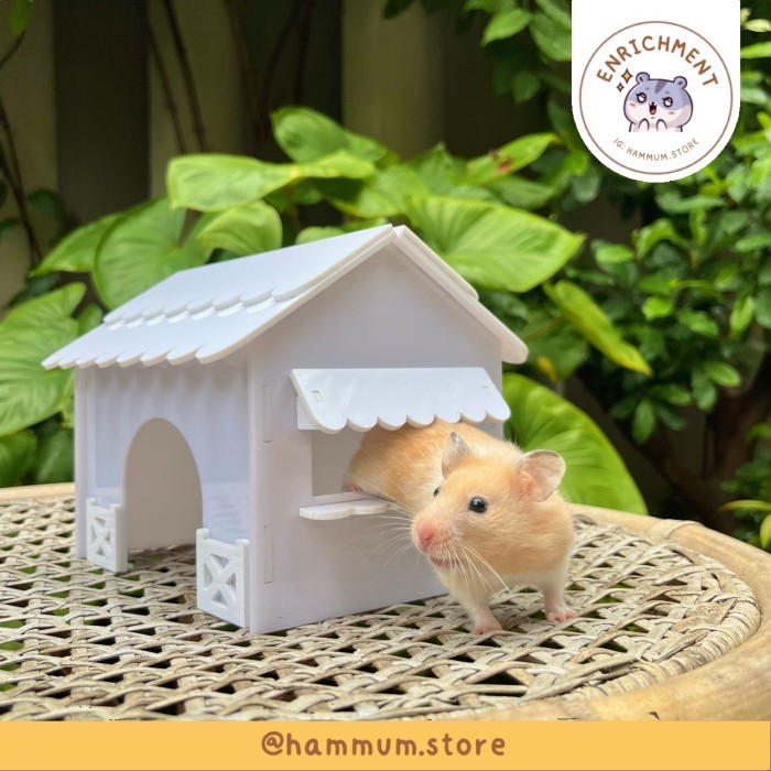 TERBARU Rumah Akrilik Hamster Syrian A51 Hideout Terowongan Hamster Besar Maze Terowongan Kandang