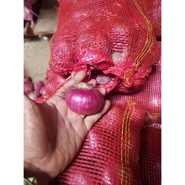 

Promo Bawang Merah Peking - Lpj Best Seller