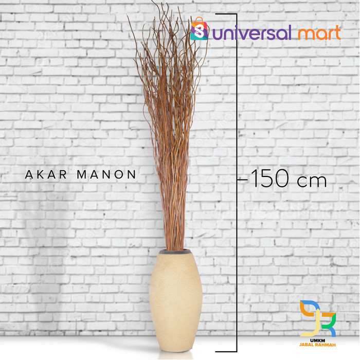 Akar Manon Kering Untuk Dekorasi Property Rumah Perlengkapan Pesta