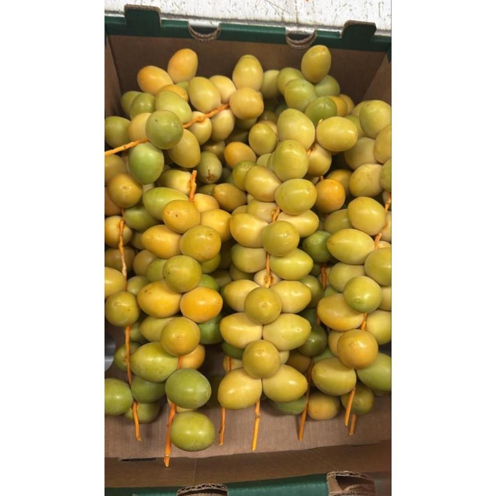 

Kurma Muda Promil Kuning Fresh 1 Kg (Jaminan 100% Asli)