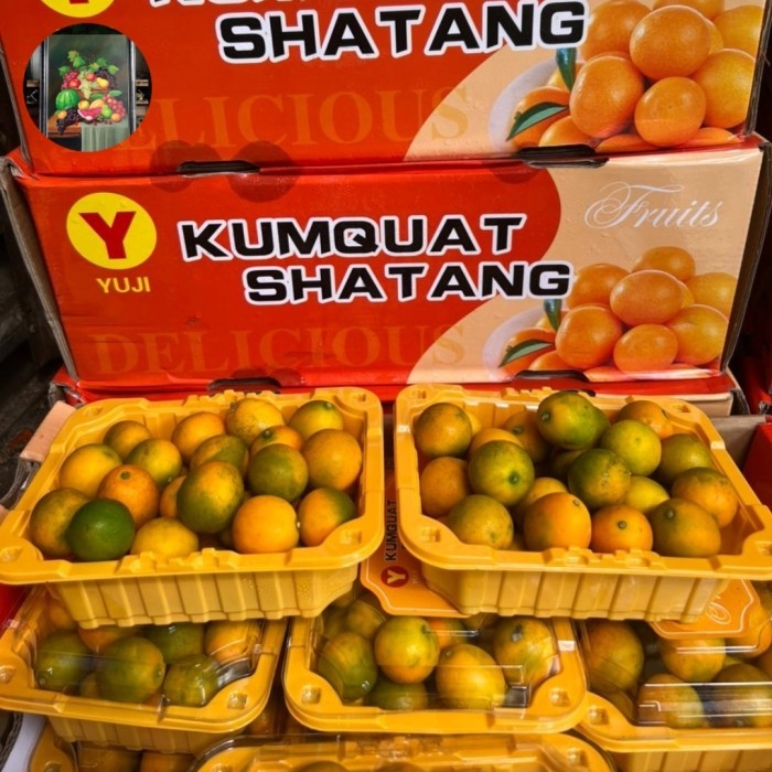 

Buah jeruk kimkit Golden per 1 dus 12pck 500x per pck
