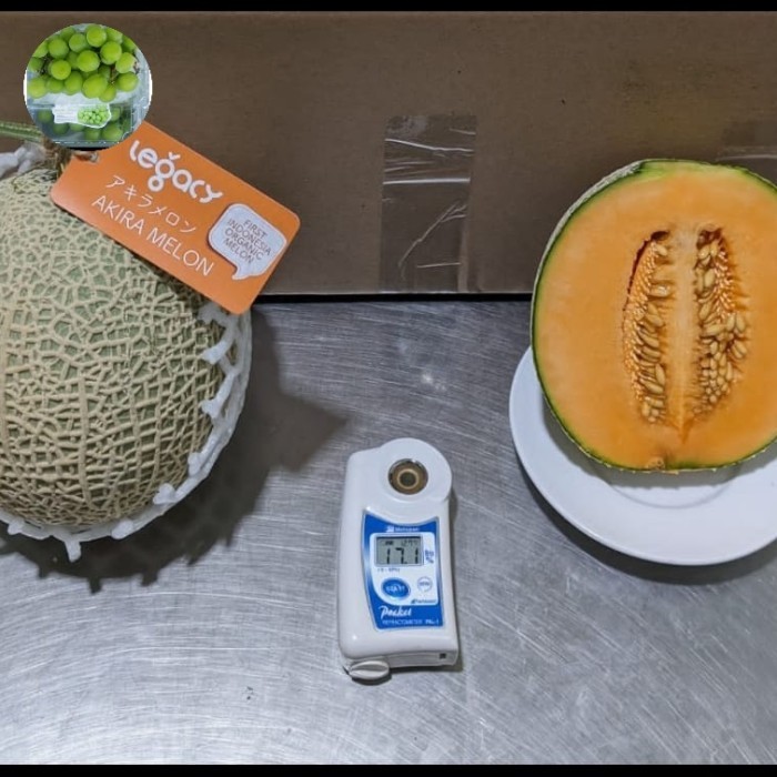buah melon Oren Akira jepang per 1 buah