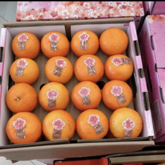 

Jeruk Mikam Sakura Jepang Manis Super 5 kg / box