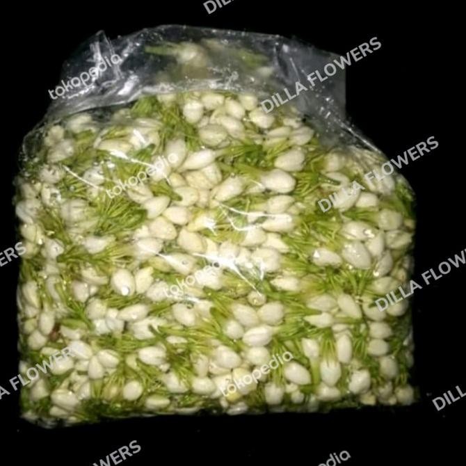 Discount Bunga Melati Segar
