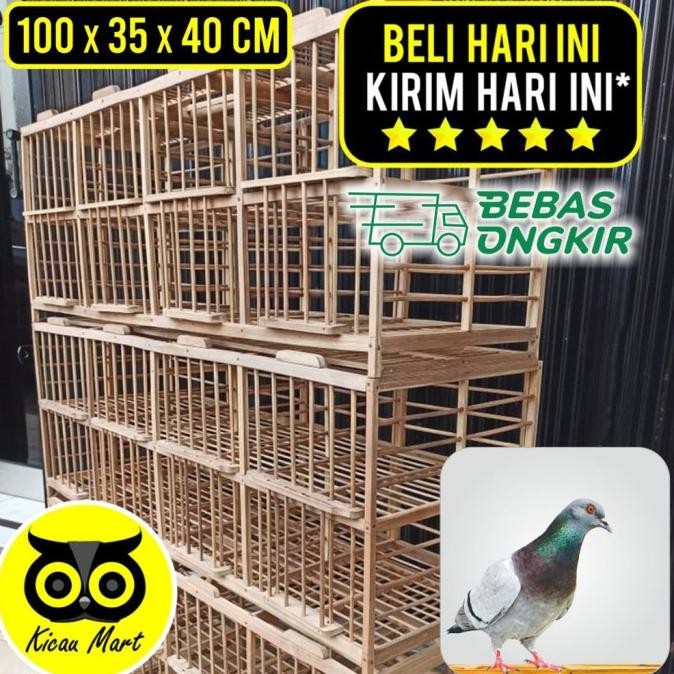 DONGDANG MERPATI 4 PASANG 8 PINTU KANDANG KURUNGAN BURUNG DARA DN4DNG