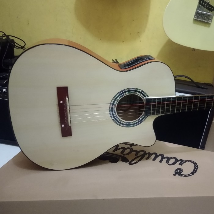 Gitar akustik elektrik fender spull