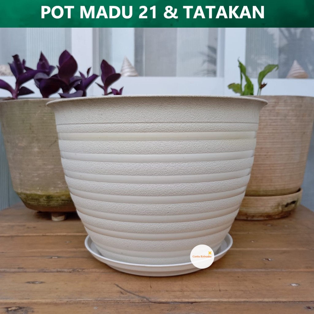 Discount 1 Set Pot Super Tawon 25 Diameter Pot Bunga Madu 21Cm Putih Mdn 21 Cm Putih Pot Tawon Dan
