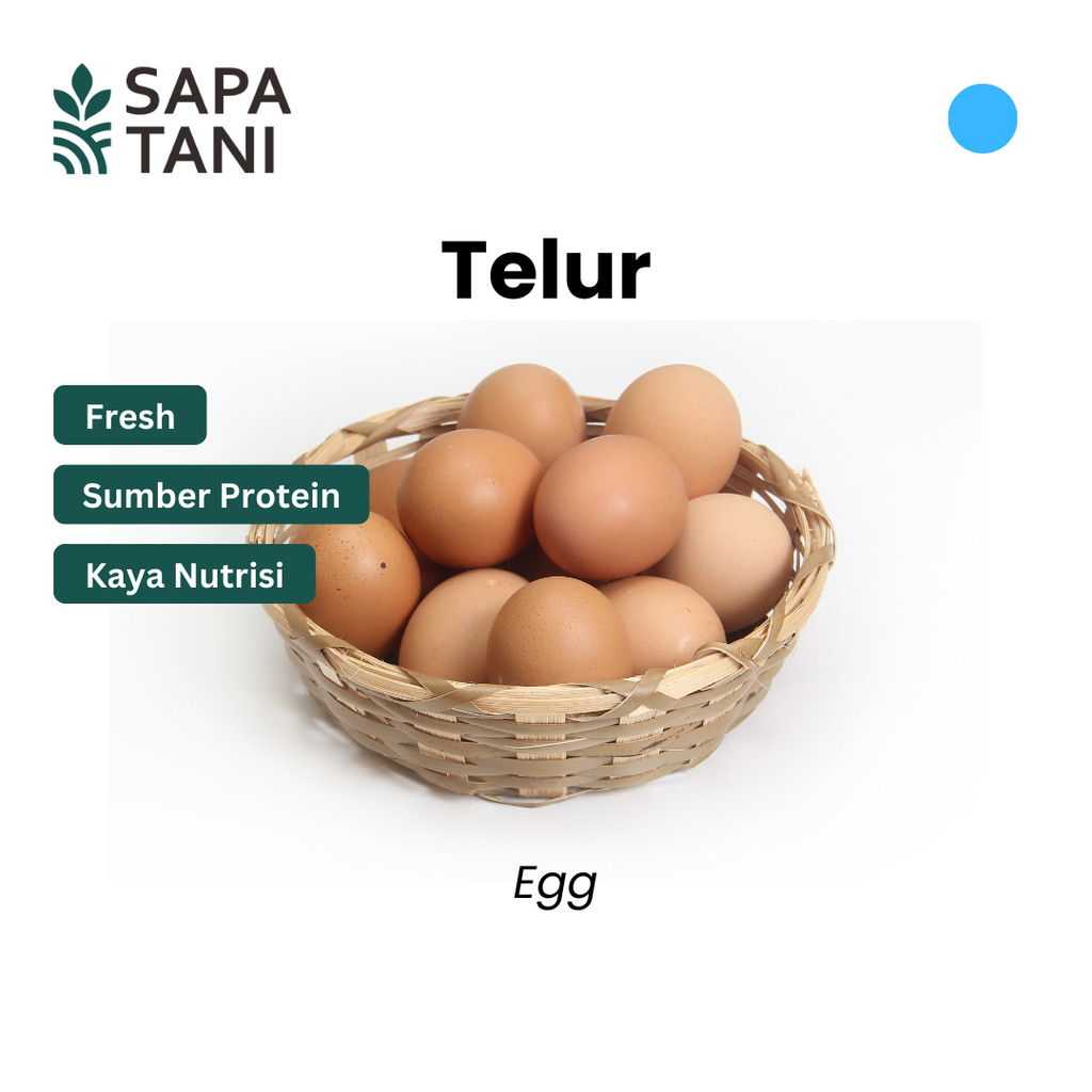 

Telur Ayam Negeri 10 pcs Sapatani