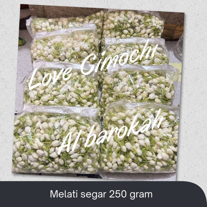 TERBARU Kembang melati tabur ronce segar 250 gr