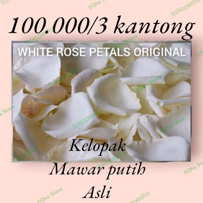 TERBARU kelopak mawar putih asli white rose petals termurah