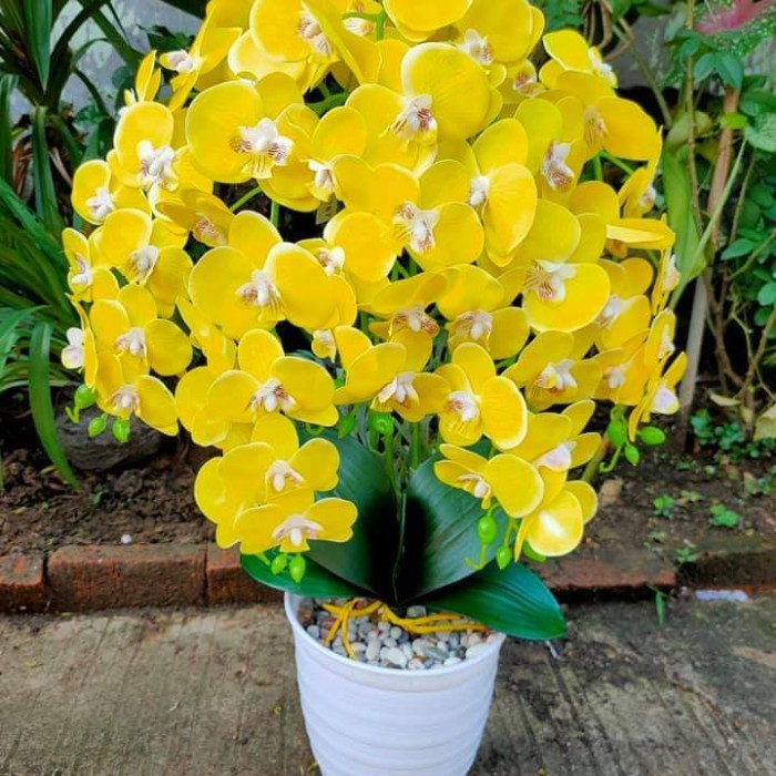 TERLARIS Bunga anggrek latex jumbo artificial//bunga anggrek latex besar murah