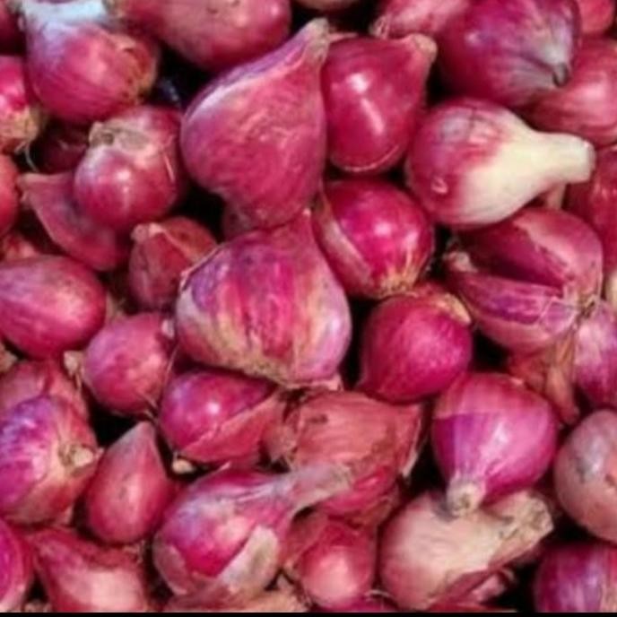 

BAWANG MERAH 1 KG ORIGINAL