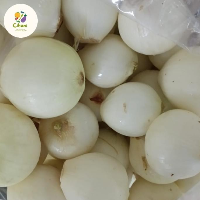 

BAWANG BOMBAY MURAH 1KG ( KUPAS) ORIGINAL