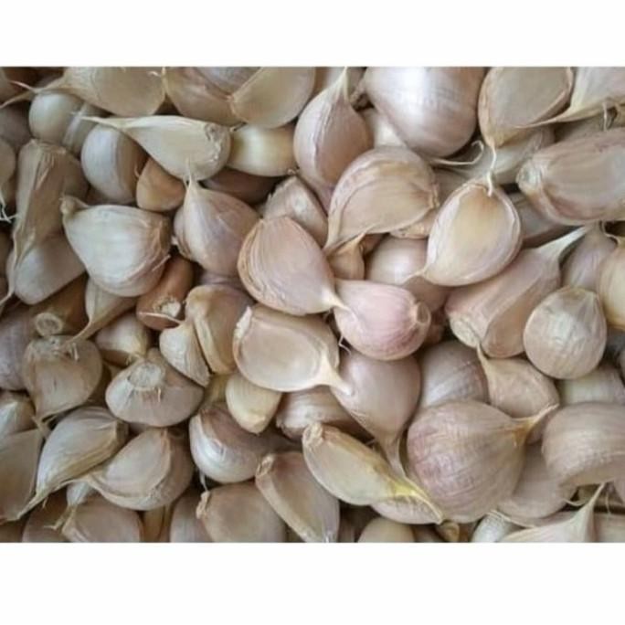 

BAWANG PUTIH KATING FRESH 1KG ORIGINAL
