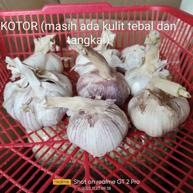 

BAWANG PUTIH HONAN HONAM BANCI KOTOR 1KG/1000GR ORIGINAL