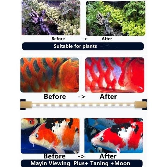 Diskon Mayin Lamp View Plus 172Cm Lampu Led Celup Aquarium Ikan Arowana Koki