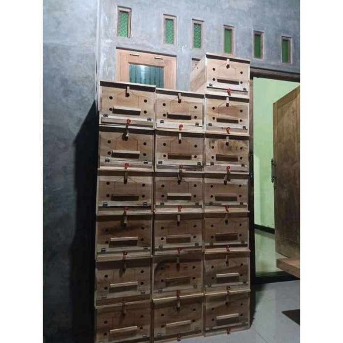Gupon Merpati Rumah Burung Dara