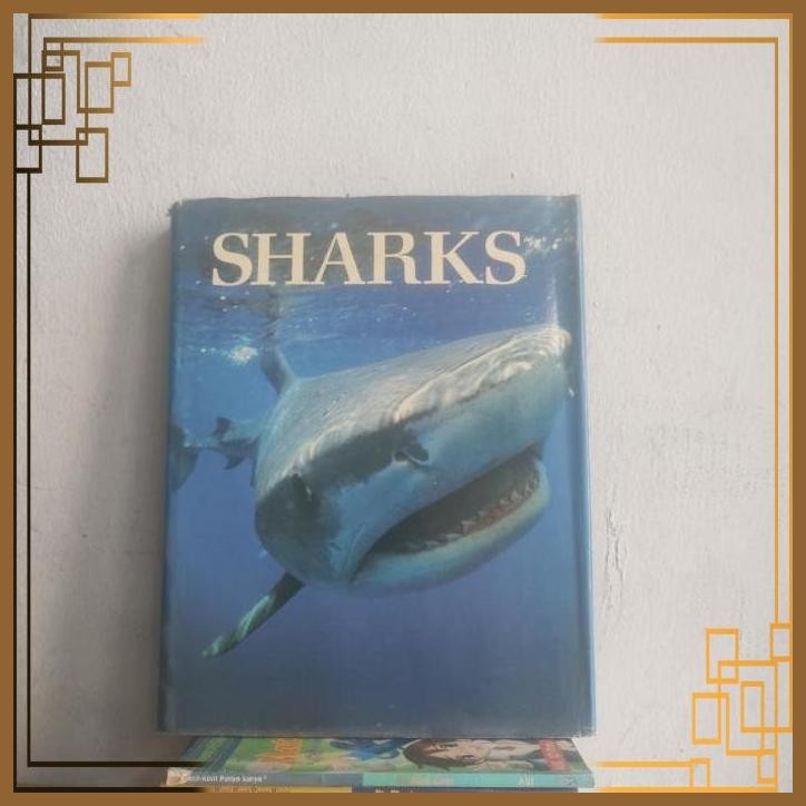 

[GTB] BUKU IMPORT SHARKS