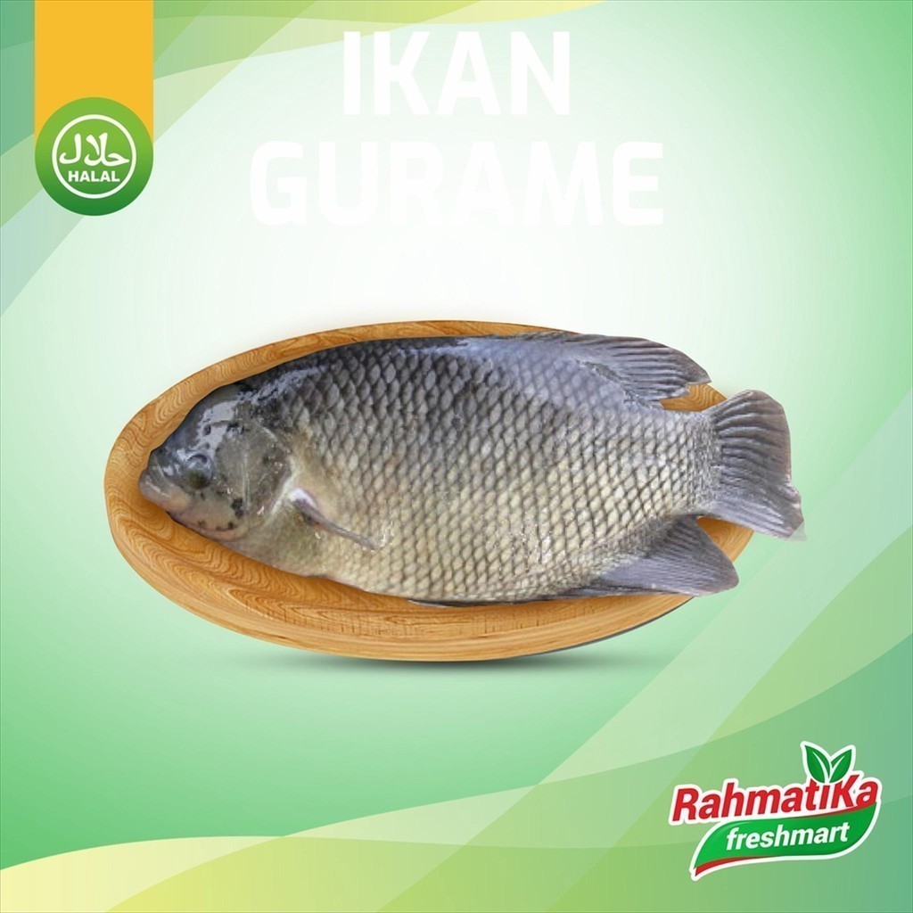 

Ikan Gurame Segar 1 Kg