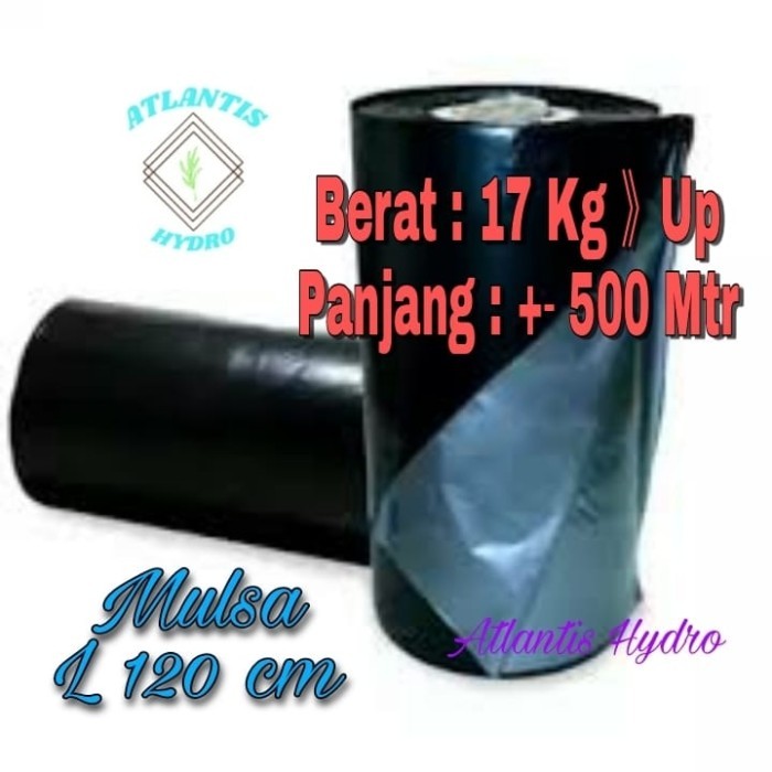 Plastik Mulsa Lebar 1,2 M Panjang 500 M ( 1 Roll ) MURAH 