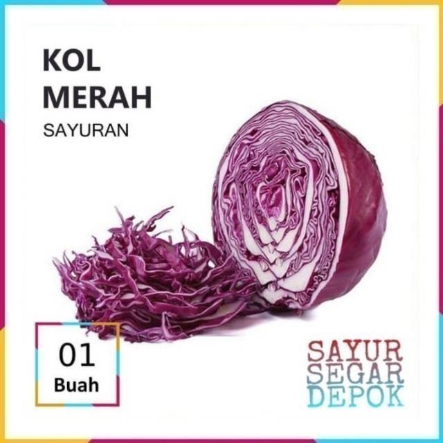 

KUBIS UNGU / KOL MERAH / SAYUR SEGAR DEPOK