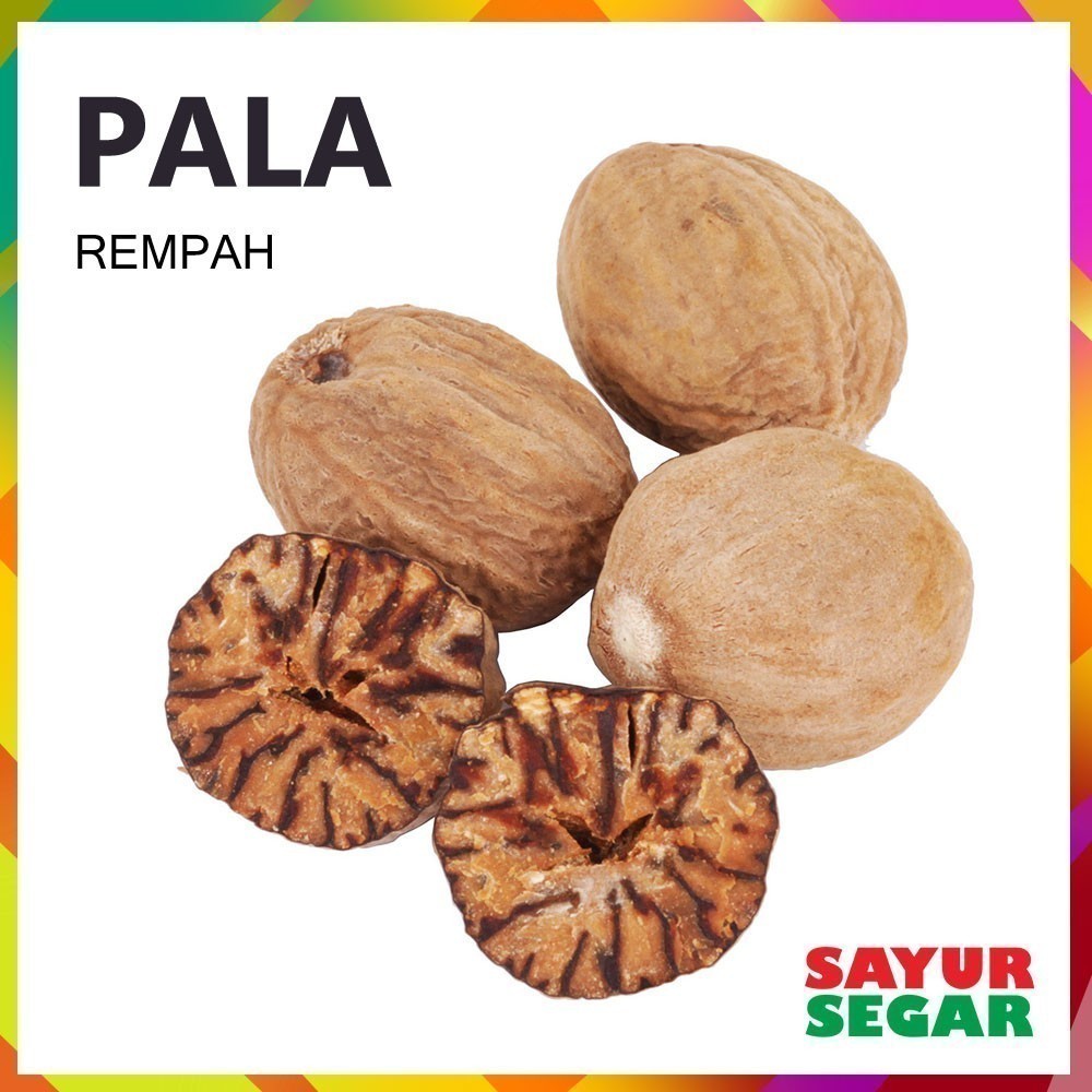 

Pala [1 Pcs]