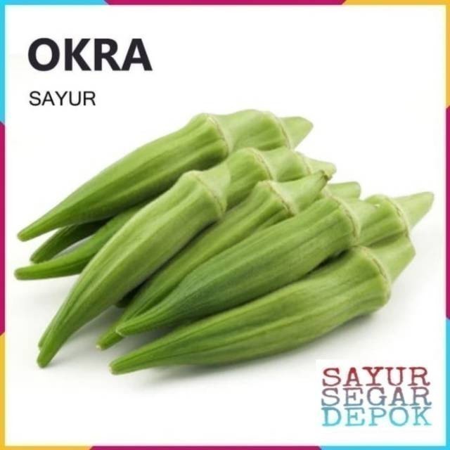 

OKRA SAYUR / SAYUR SEGAR DEPOK