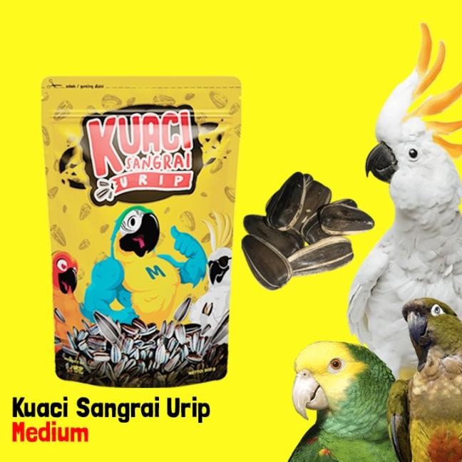 

Uaci Angrai Medium Untu Unconure Afgrey Aatua Macaw