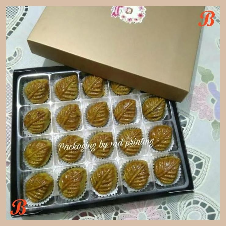 

| NS | DUS NASTAR TRAY MIKA HOLES 20