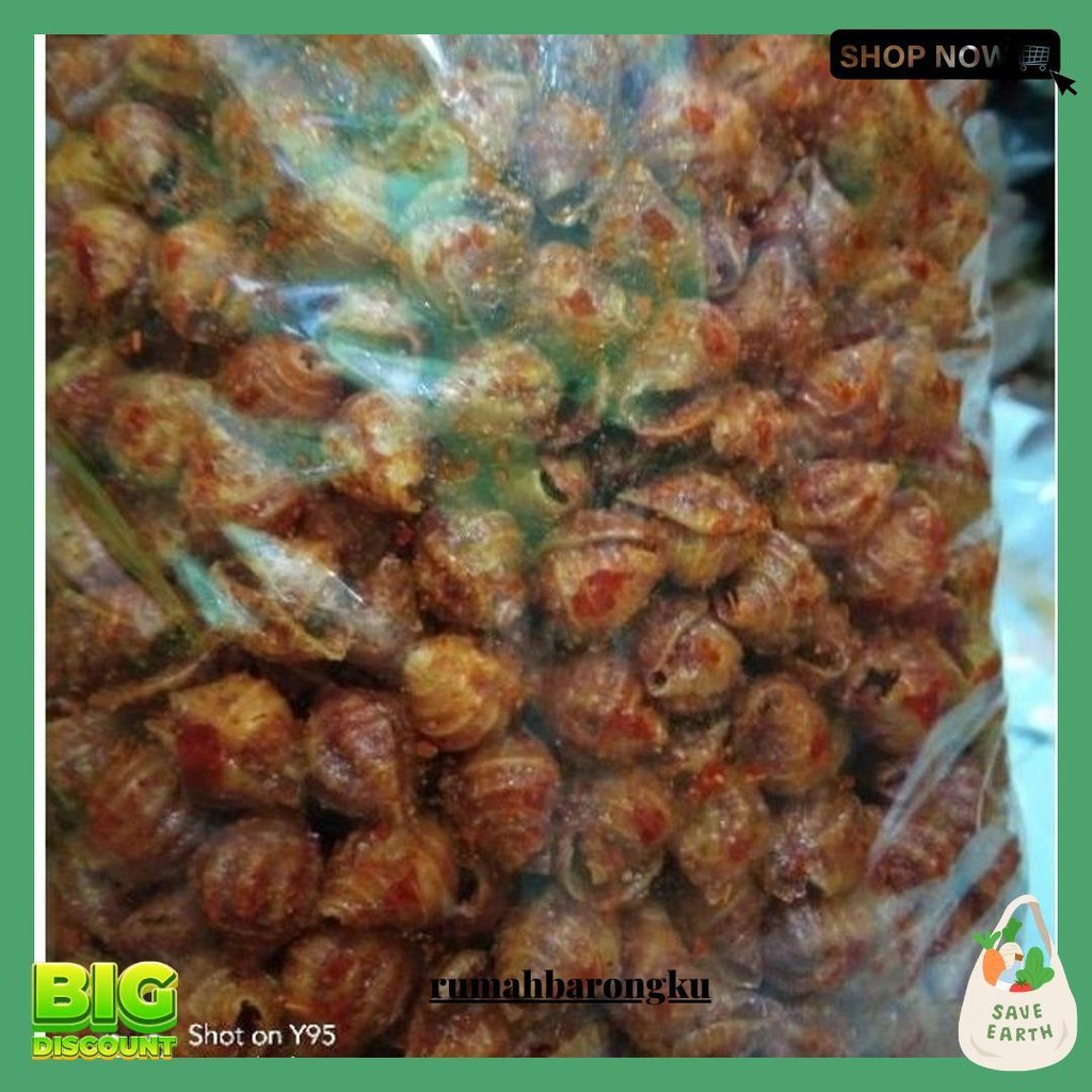 

Makaroni Kerang Daun Jeruk Jumbo 1Kg Termurah Banget