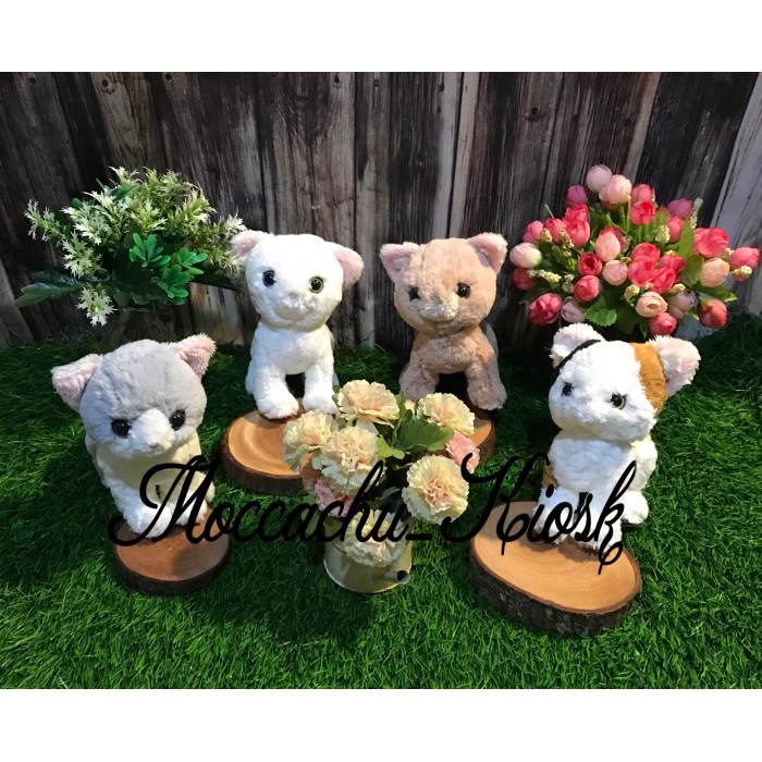 Sunlemon Dolls kittens / boneka anak kucing kecil & lucu