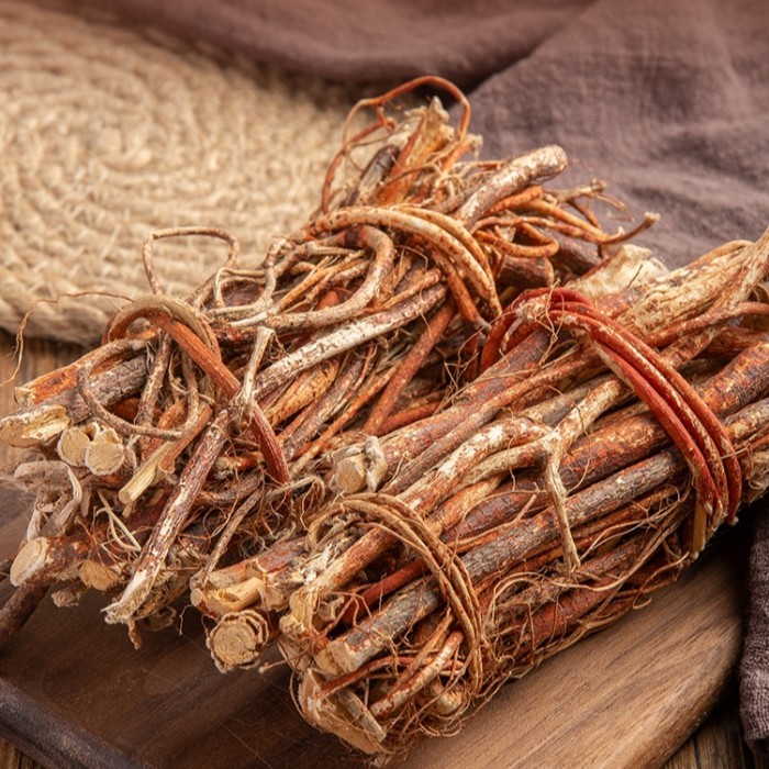 

Akar Lima Jari Persik Ficus Hirta Root Wu Zhi Mao Tao