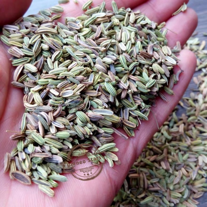 

Fennel Seed/Biji Cumin/Adas/ 100 Gram