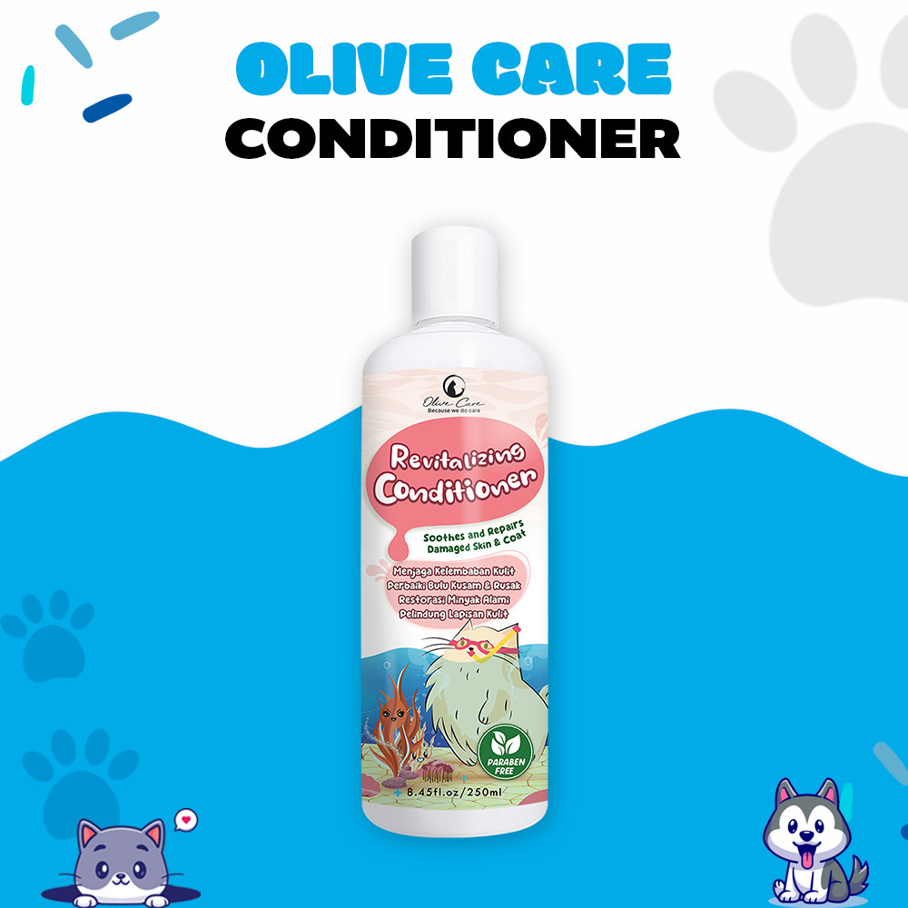OLIVE CARE - CONDITIONER