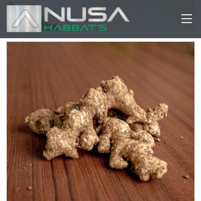 

terbaru !!! rempah kering organik nusa indonesia asli malang 300gr bpom 880906654 - bahan, asam
