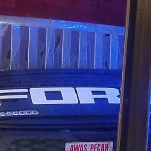 Grill Ford Ecosport White Led