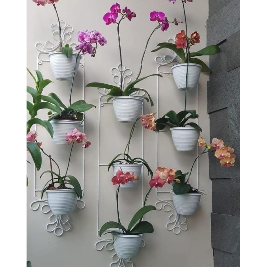 Best Price Standing Pot Dinding Anggrek / Rak Bunga Besi Tempel TD