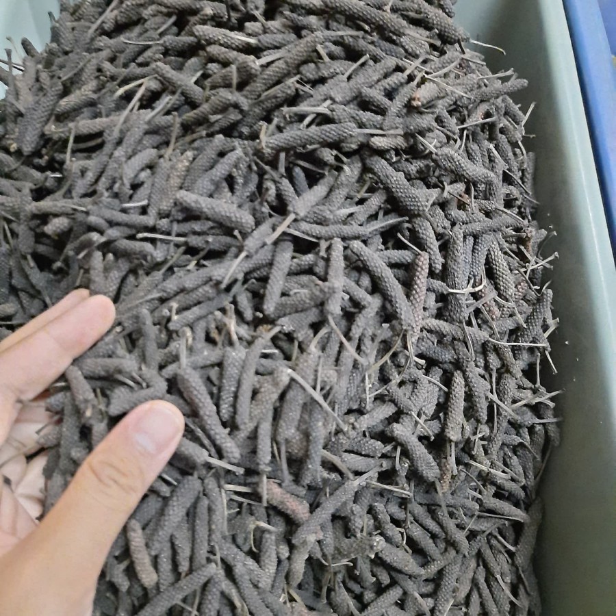 

cabe jawa kering 500 gram