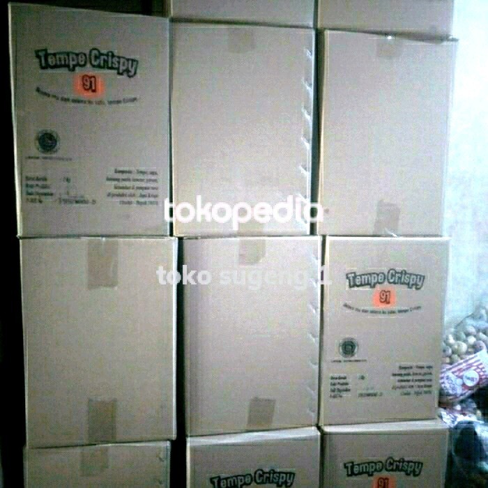 

TERMURAH KERIPIK TEMPE 1 KARTON 2 KG