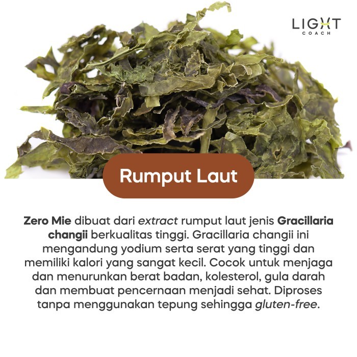 

ZERO MIE - AYAM KELP DIET KETO ALTERNATIF SHIRATAKI