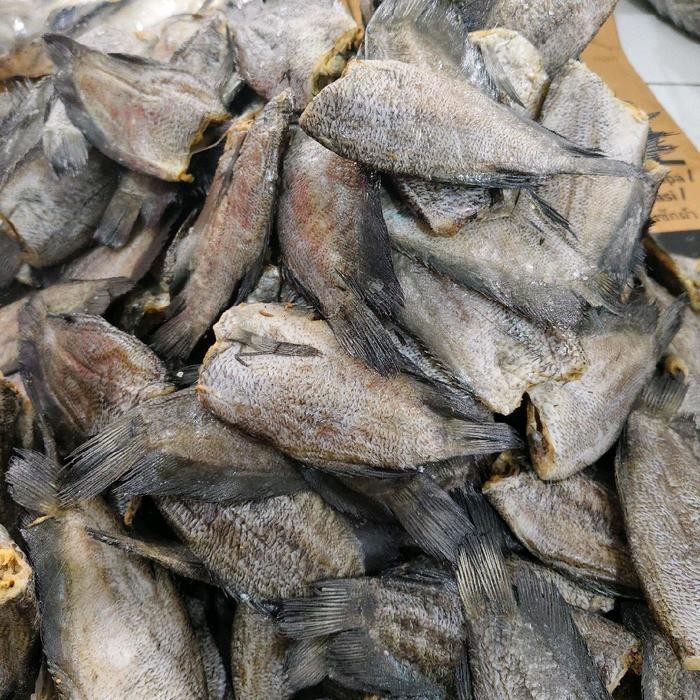 

New ikan sepat kering besar weeenak 250g Ready
