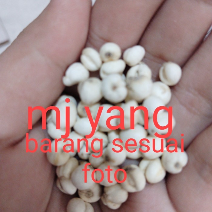 

chuan bei mu () 100gram
