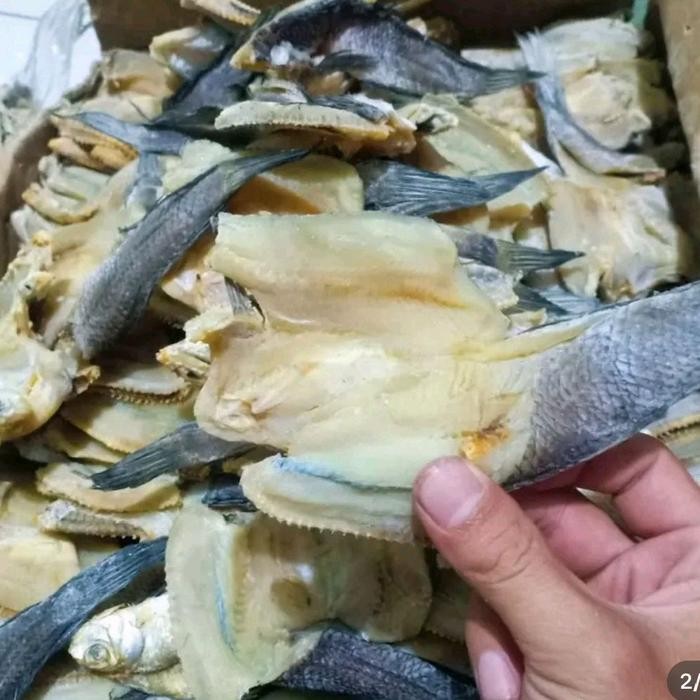 

Promo Ikan Asin Gabus Kering Khas Medan 1 kg murah Ready