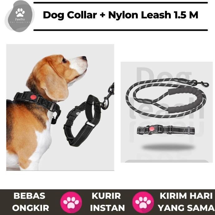 TALI DAN KALUNG ANJING | DOG COLLAR AND LEASH | TALI ANJING NYLON