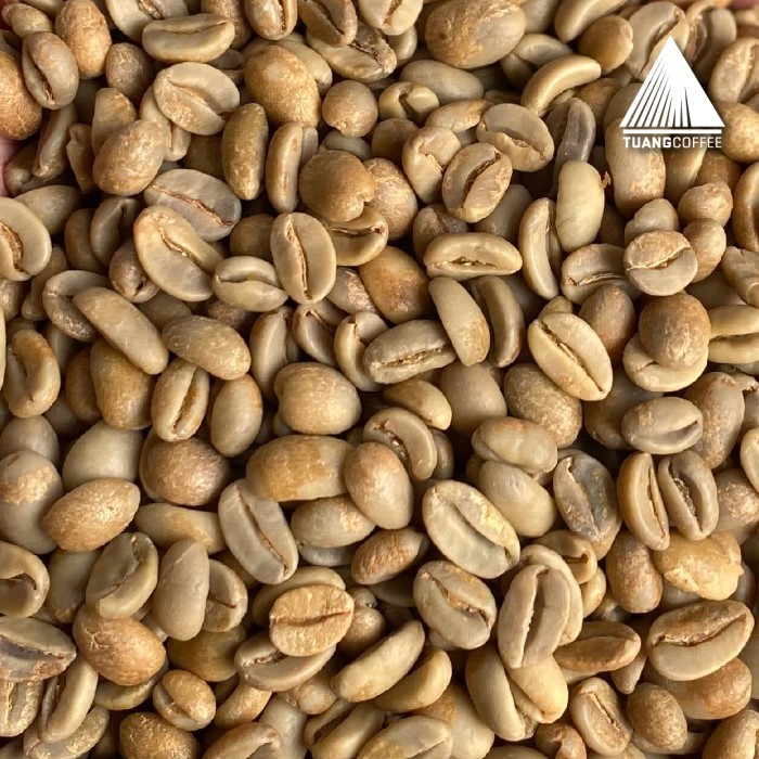 

Green Bean Arabica Natural Tuang Coffee Flores Manggarai
