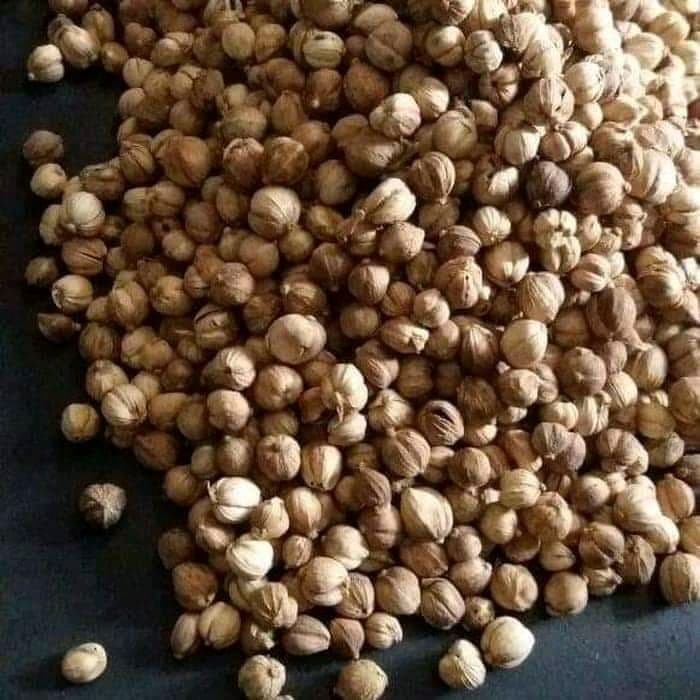 

Terbaru Kapulaga Jawa 1Kg Original Kapulogo Kapol Kering Best Seller