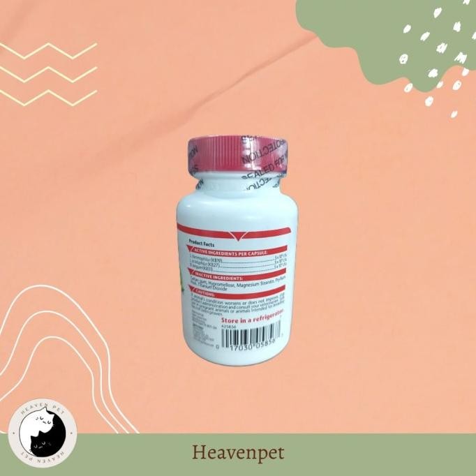 Sale Azodyl - Probiotik Vitamin Untuk Ginjal Anjing Kucing