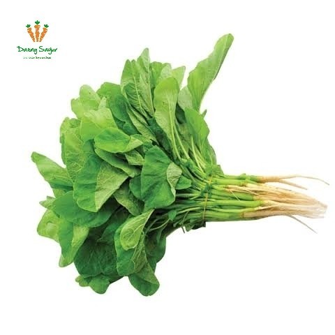 

Sayur Bayam Hijau Segar - 1 ikat