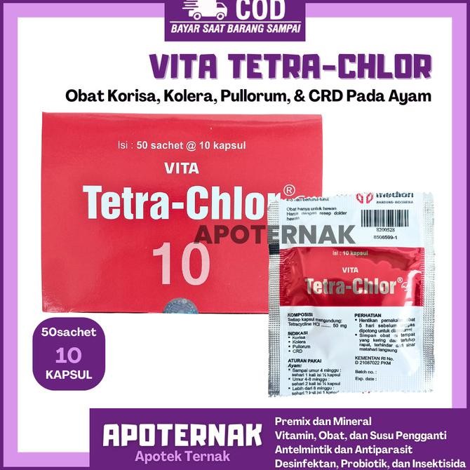 

READY CHLOR 10KAPSUL 50SACHET | AYAM MEDION BATUK PILEK