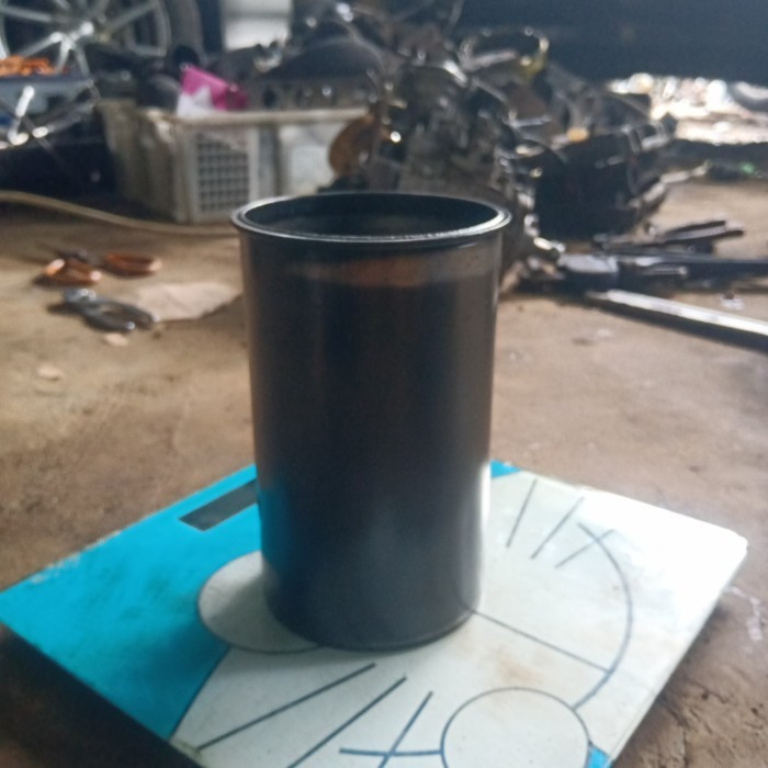 liner kia carnival diesel